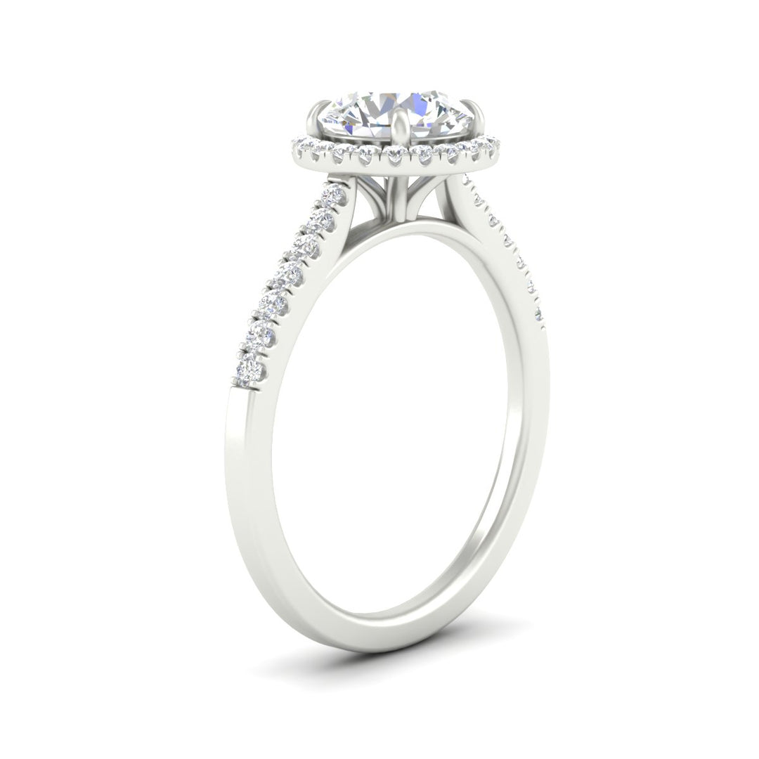 cathedral-pave-halo-round-diamond-engagement-ring-in-white-gold-fdenr11704roangle2-nl-wg.jpg