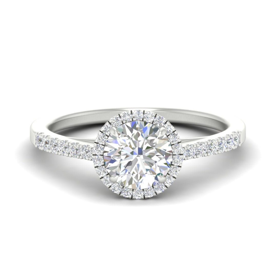 cathedral-pave-halo-round-diamond-engagement-ring-in-white-gold-fdenr11704rosleep-nl-wg.jpg